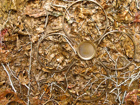 An artwork combining earth, plant matter, and metal